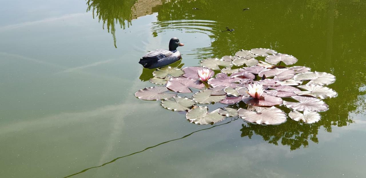 Penzion U Pepicka Netolice Buitenkant foto